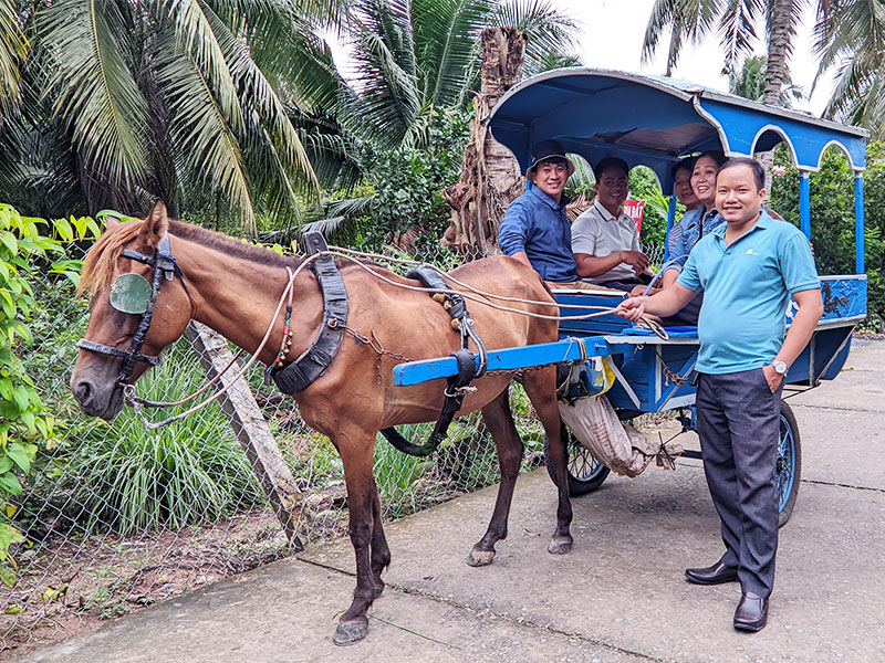 Đi xe ngựa tham quan đường làng trên Cồn Thới Sơn